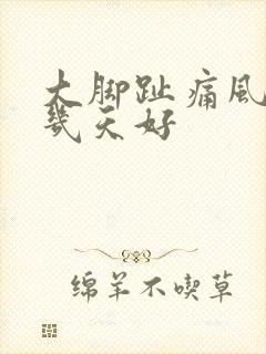 大脚趾痛风疼痛几天好封面