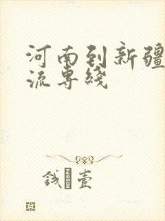 河南到新疆的物流专线