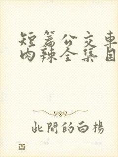 短篇公交车高h肉辣全集目录