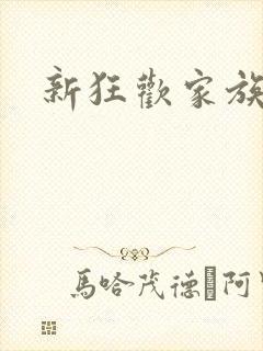 新狂欢家族小说