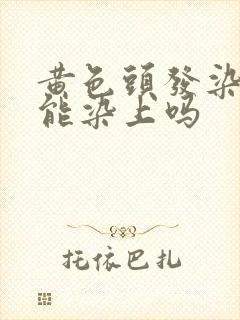 黄色头发染黑色能染上吗封面