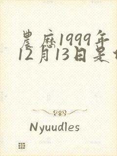 农历1999年12月13日是什么星座
