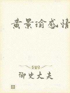 黄景瑜感情史封面