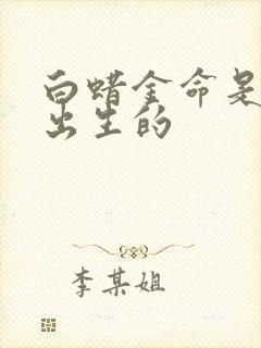 白蜡金命是哪年出生的