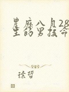 农历八月28出生的男孩命怎么样