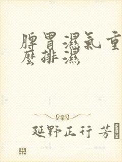 脾胃湿气重吃什么排湿