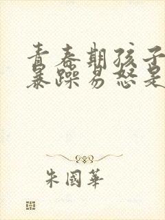 青春期孩子脾气暴躁易怒是抑郁焦虑症吗