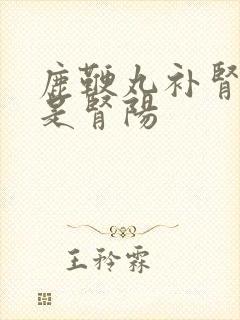 鹿鞭丸补肾阴还是肾阳