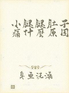 小腿腿肚子酸胀痛什么原因引起的