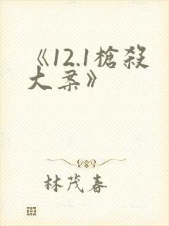 《12.1枪杀大案》封面