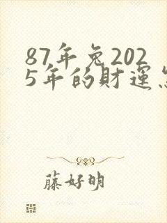 87年兔2025年的财运怎么样
