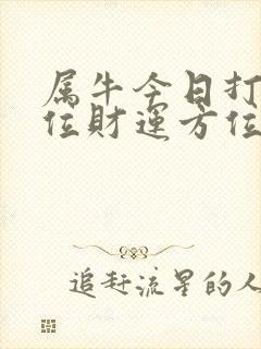属牛今日打牌方位财运方位