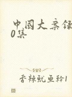 中国大案录100集封面