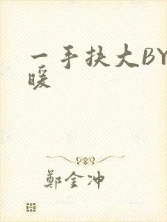 一手扶大BY泱暖封面
