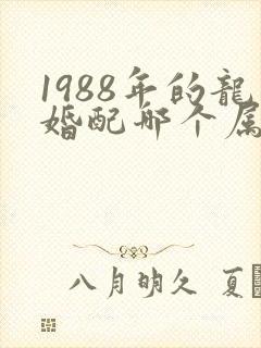 1988年的龙婚配哪个属相最好