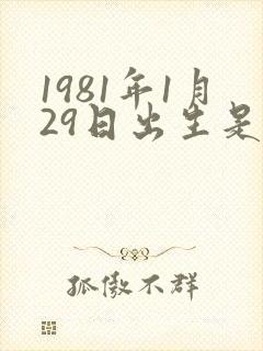 1981年1月29日出生是什么命