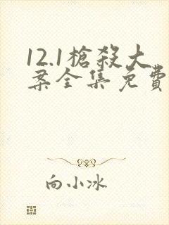 12.1枪杀大案全集免费观看封面