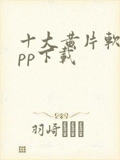 十大黄片软件app下载封面