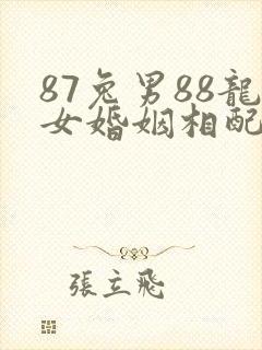 87兔男88龙女婚姻相配好不好
