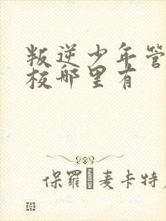 叛逆少年管教学校哪里有