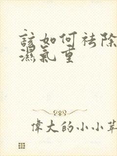 该如何祛除体内湿气重