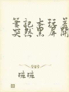 笔记本玩着玩着突然黑屏关机封面