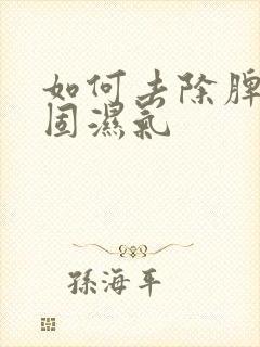 如何去除脾胃顽固湿气