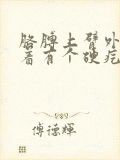 胳膊上臂外侧摸着有个硬疙瘩封面