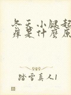 冬天小腿起红点痒是什么原因