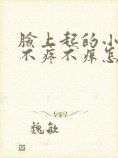 脸上起的小疙瘩不疼不痒怎么回事