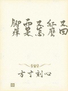 脚面又红又肿又痒是怎么回事