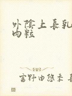 外阴上长乳头状肉粒