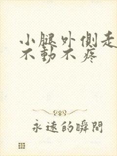 小腿外侧走路疼不动不疼