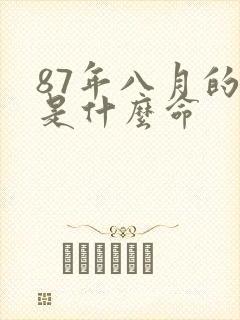 87年八月的兔是什么命