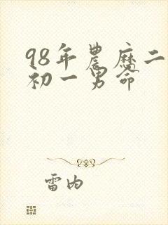 98年农历二月初一男命