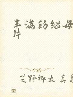 丰满的继母理伦片封面