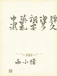 中药调理脾胃去湿气要多久见效