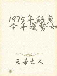 1975年的兔今年运势如何?