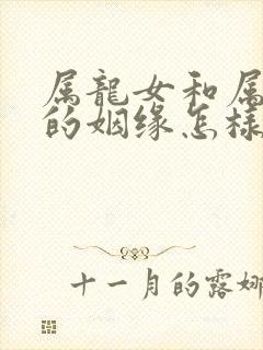 属龙女和属鼠男的姻缘怎样