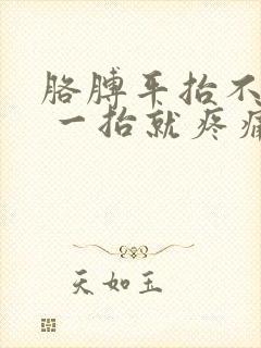 胳膊平抬不起来 一抬就疼痛难忍