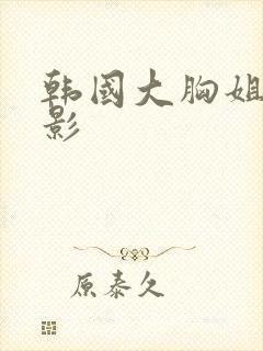 韩国大胸姐妹电影