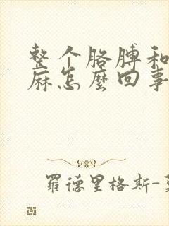 整个胳膊和手发麻怎么回事