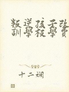 叛逆孩子改造特训学校学费多少