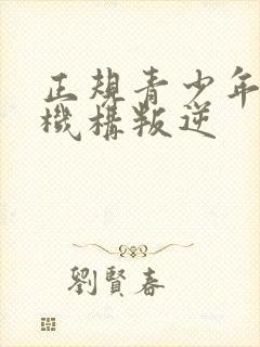 正规青少年管教机构叛逆