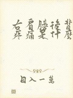 右肩膀后背脖子疼痛是什么原因