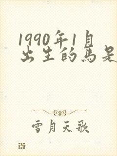 1990年1月出生的马是什么命