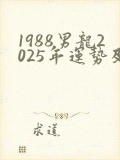 1988男龙2025年运势及运程