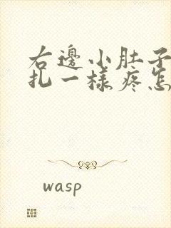 右边小肚子和针扎一样疼怎么回事