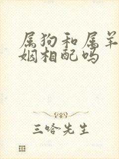 属狗和属羊的婚姻相配吗