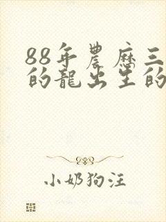 88年农历三月的龙出生的命运